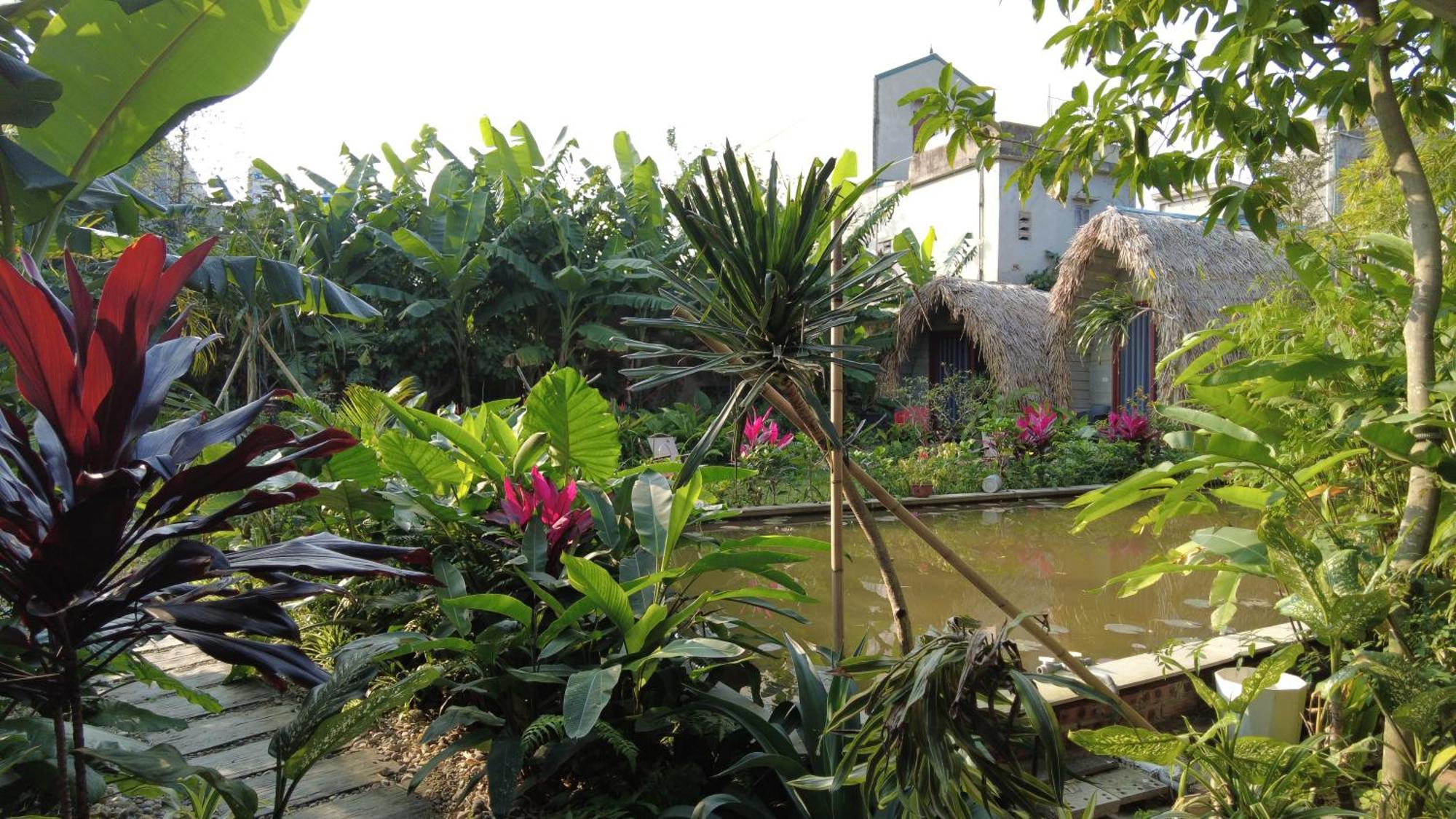 Amy House Apartment Ninh Bình Ngoại thất bức ảnh